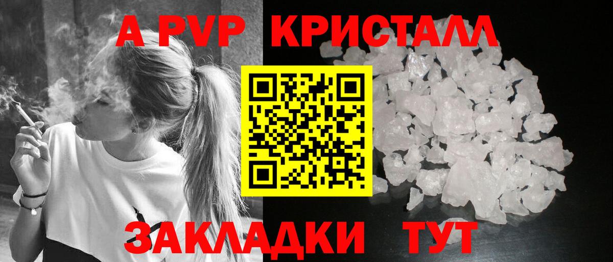 Alfa_PVP СК Люберцы