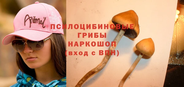 mix Рославль