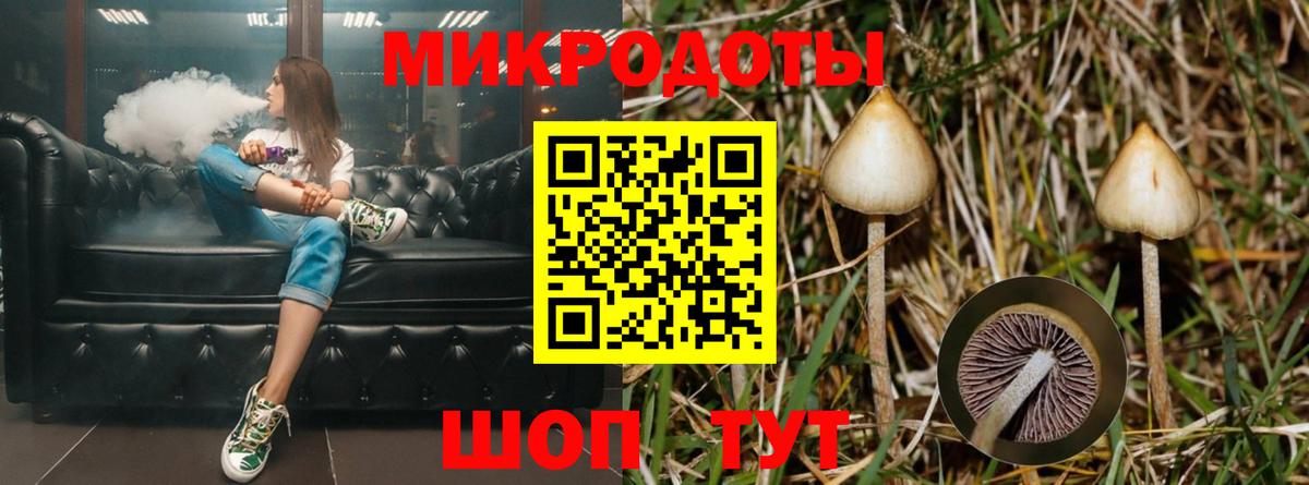 Псилоцибиновые грибы Psilocybine cubensis  Вход с VPN  Люберцы 