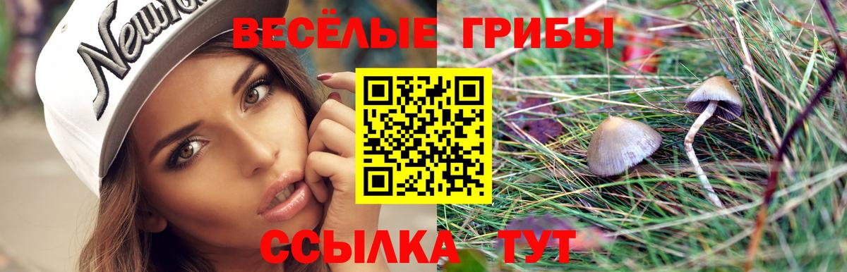 Галлюциногенные грибы Cubensis Люберцы